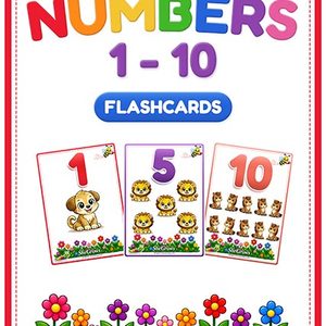 Number Flashcards